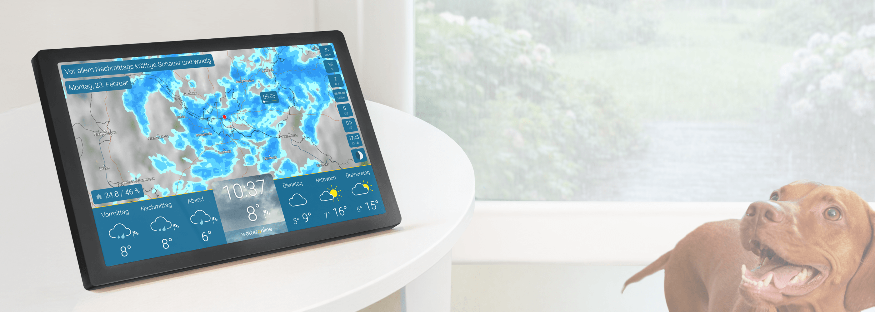 wetteronline home 4 Wetter Display zeigt Regenradar bei Regenwetter, Blick aus dem Fenster mit Hund